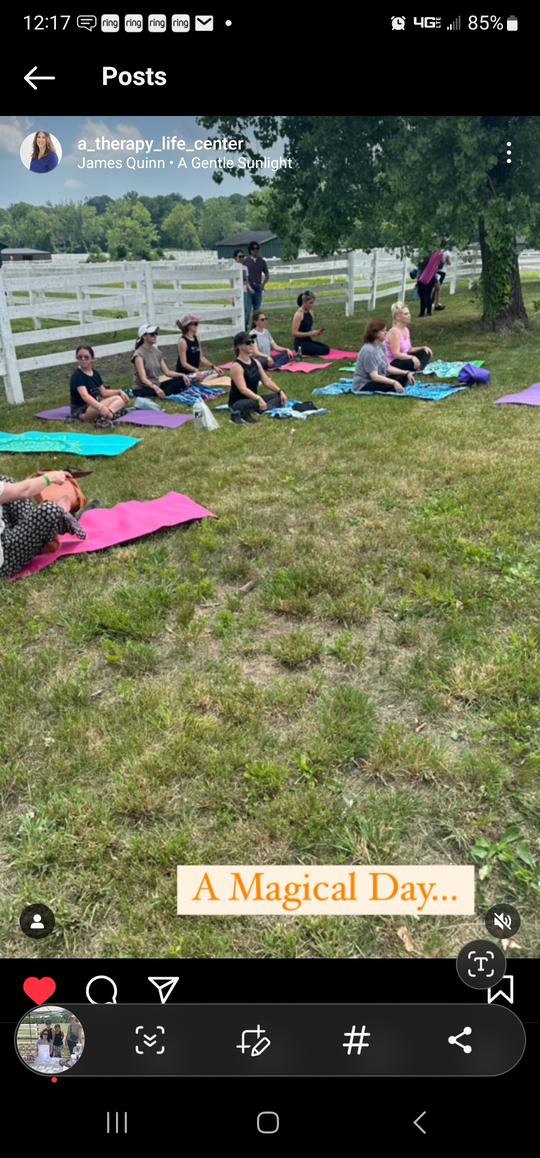 A group of people sitting on yoga mats on the grass at an outdoor event.